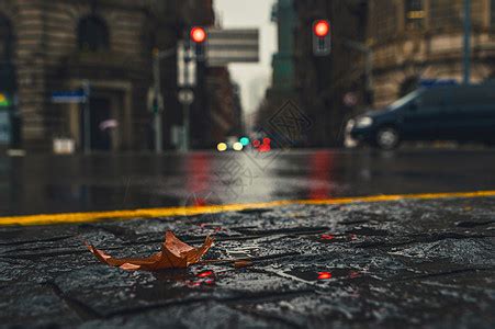 雨天照片|超过 20000 张关于“雨天图片”和“图片”的免费图片